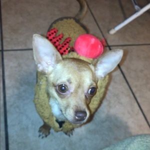 Meet your Posher, Rose